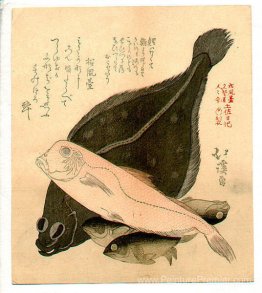 Poisson