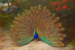 Paon et papillon de paon