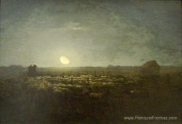 La stylo mouton, clair de lune