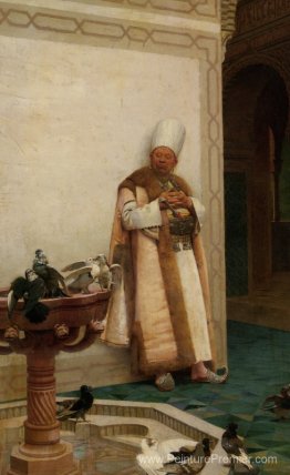 Une grande ennuque blanche regardant les colombes