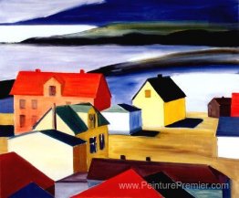 Village islandais