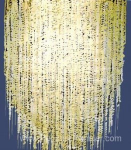 La pluie de lumière