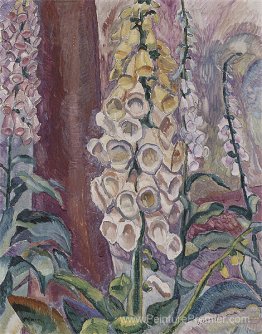 FoxGloves grandir