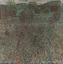 Champ de floraison