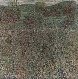 Champ de floraison
