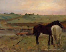 Chevaux dans une prairie
