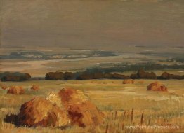 Paysage d'été