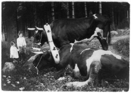 Mariage à couple et muselé