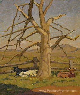 Matin ensoleillé: vaches à Lanyon