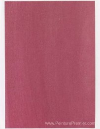 Échantillon de couleur pour la peinture (# 02'27)