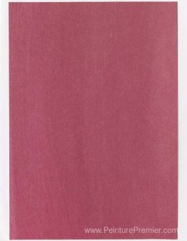 Échantillon de couleur pour la peinture (# 02'27)