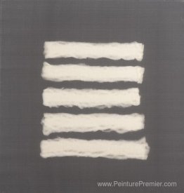 5 morceaux de coton whool