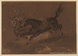 Horses courir
