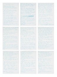 Tracey Emin C.V.