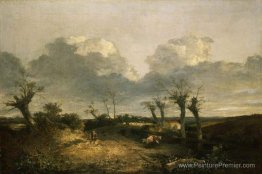 Route avec des purnes