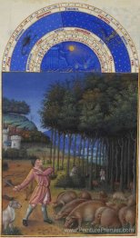 Novembre: nourrir des glands aux porcs