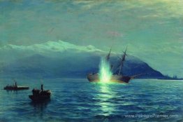 Planage du bateau à vapeur turc «Intibach» par des bateaux du na