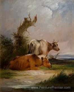 Vaches, vache blanche debout