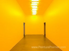Salle pour une couleur