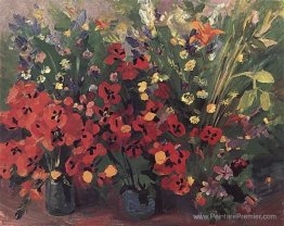 Coquelicots