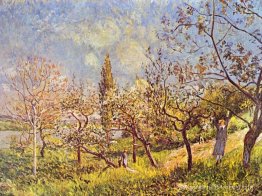Verger au printemps