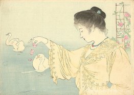 Femme et cygnes blancs