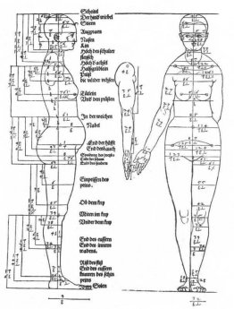Études sur les proportions du corps féminin