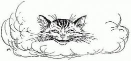 Le chat semblait penser qu'il y en avait assez maintenant en vue