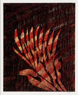 Impression 11