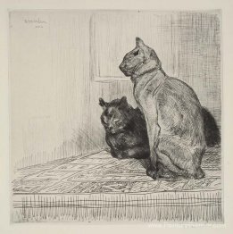 Deux chats sur une armoire