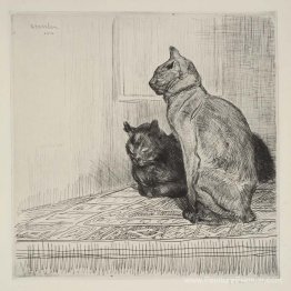 Deux chats sur une armoire