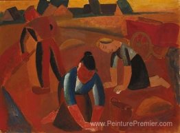 Récolte de pommes de terre