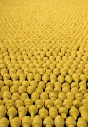 Plus de dix mille travaux individuels