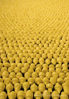Plus de dix mille travaux individuels