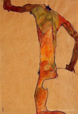 Mâle nude