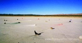 Installation de roches et de pigments