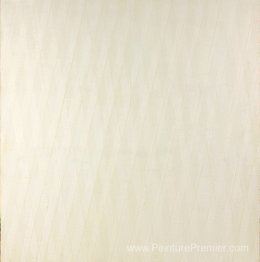 Color Branc II
