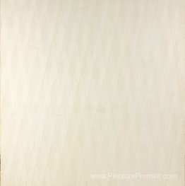 Color Branc II