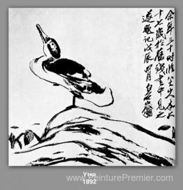 Canard
