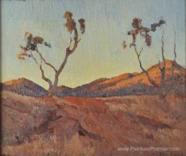 Lumière du soir, Flinders Ranges, SA