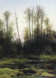 Forêt au printemps