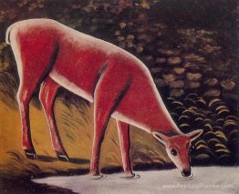 Roe Deer par un ruisseau