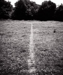 Une ligne faite en marchant