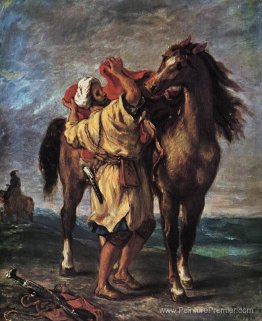 Un marocain qui selle un cheval