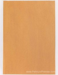 Échantillon de couleur pour la peinture (# 03'04)