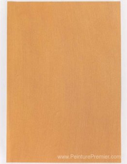 Échantillon de couleur pour la peinture (# 03'04)