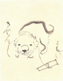 Chiot