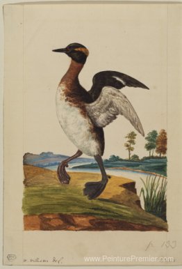 Oiseau d'eau sur la rivière