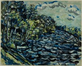 La rivière noire de St. Mary est bleue, Géorgie