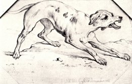 Chien